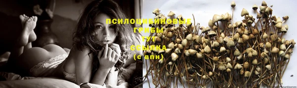 не бодяженный Новозыбков