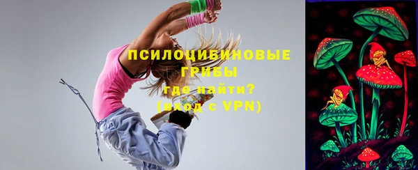 не бодяженный Новозыбков