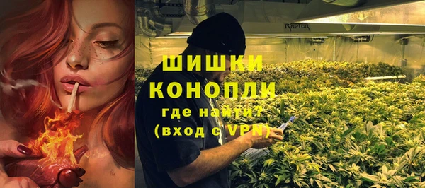 не бодяженный Новозыбков