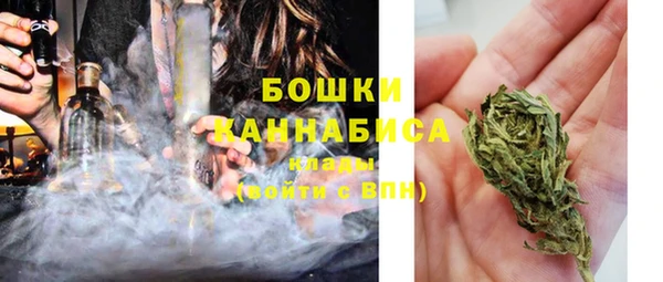 не бодяженный Новозыбков