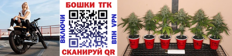 Марихуана OG Kush  дарнет шоп  кракен вход  Орлов 